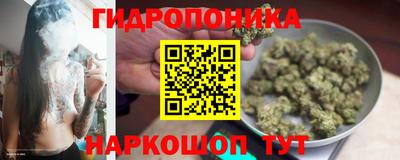 сатива Абакан