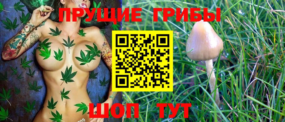 Галлюциногенные грибы ЛСД Амурск
