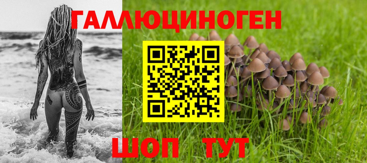 Амурск  Псилоцибиновые грибы Psilocybe  Вход с VPN 